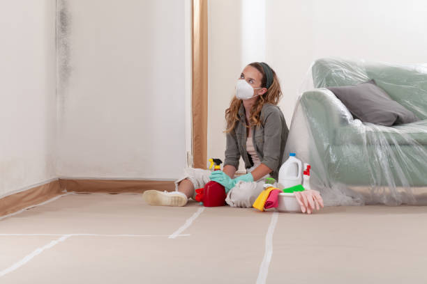 Reliable Mold Remediation contractor in Anoka, MN by WQB Mold Removal